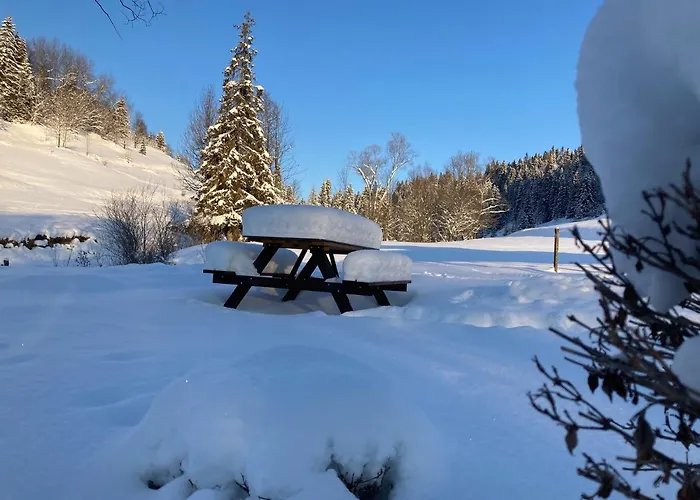 度假居 Luxury Katarinka, Belianske Tatry Osturna